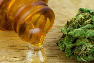 cannabis-oil-Honeyvape